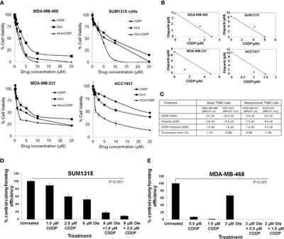 Analysis of Adaptive Olaparib Resistance Effects on Cisplatin Sensitivity in Triple Negative Breast Cancer Cells